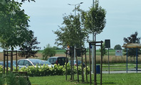 zielone tereny z roślinnościa