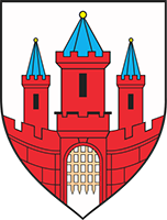 Malborski Budżet Obywatelski Junior